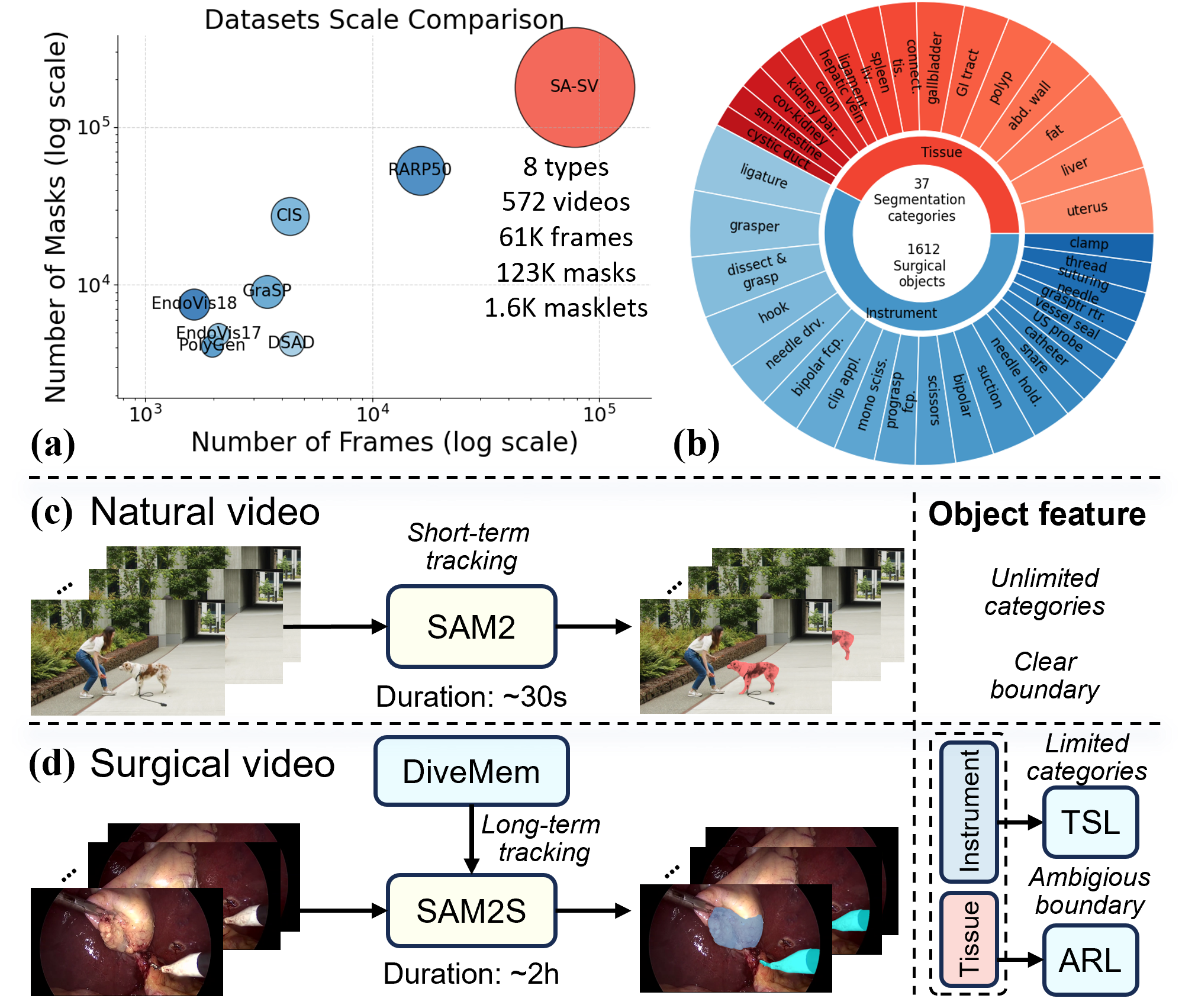 SAM2S Architecture